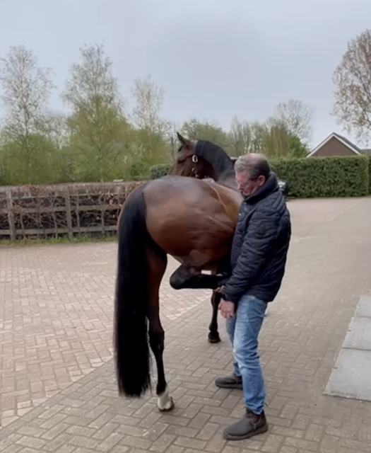 Buigproeven bij de klinische aankoopkeuring