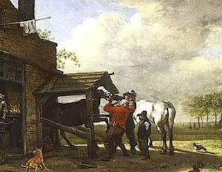 gebitsonderhoud3