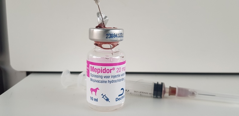 flesje mepilor